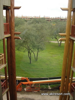 Savanna and construction view